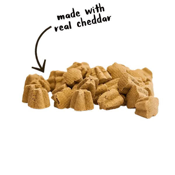 Cloud Star Crunchy Tricky Trainers Cheddar Dog Treats, 8oz