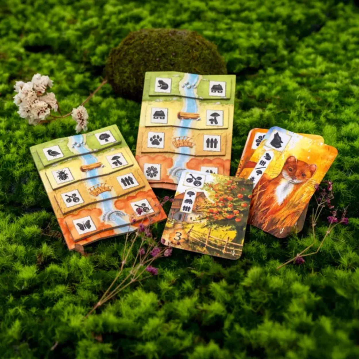 Meadow: Adventure Book